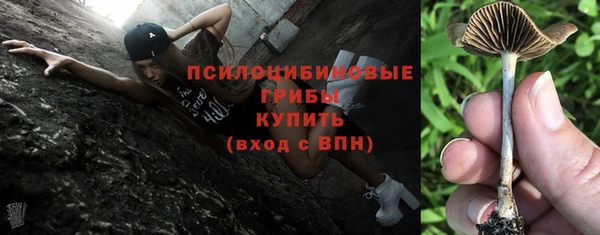 спиды Касимов